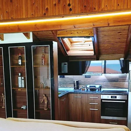 Apartment Attic *